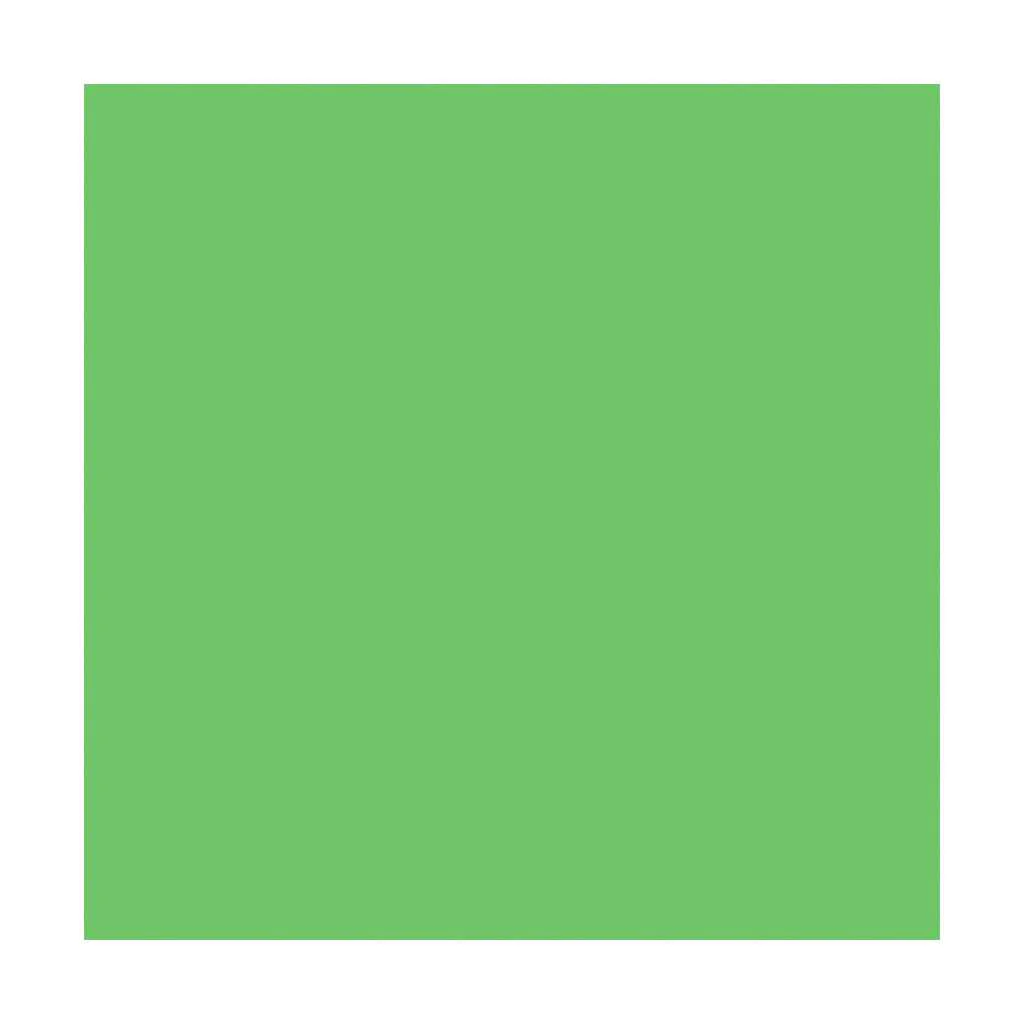 Lamali Classic Lokta Paper 60gsm 20in x 30in, Spring Green
