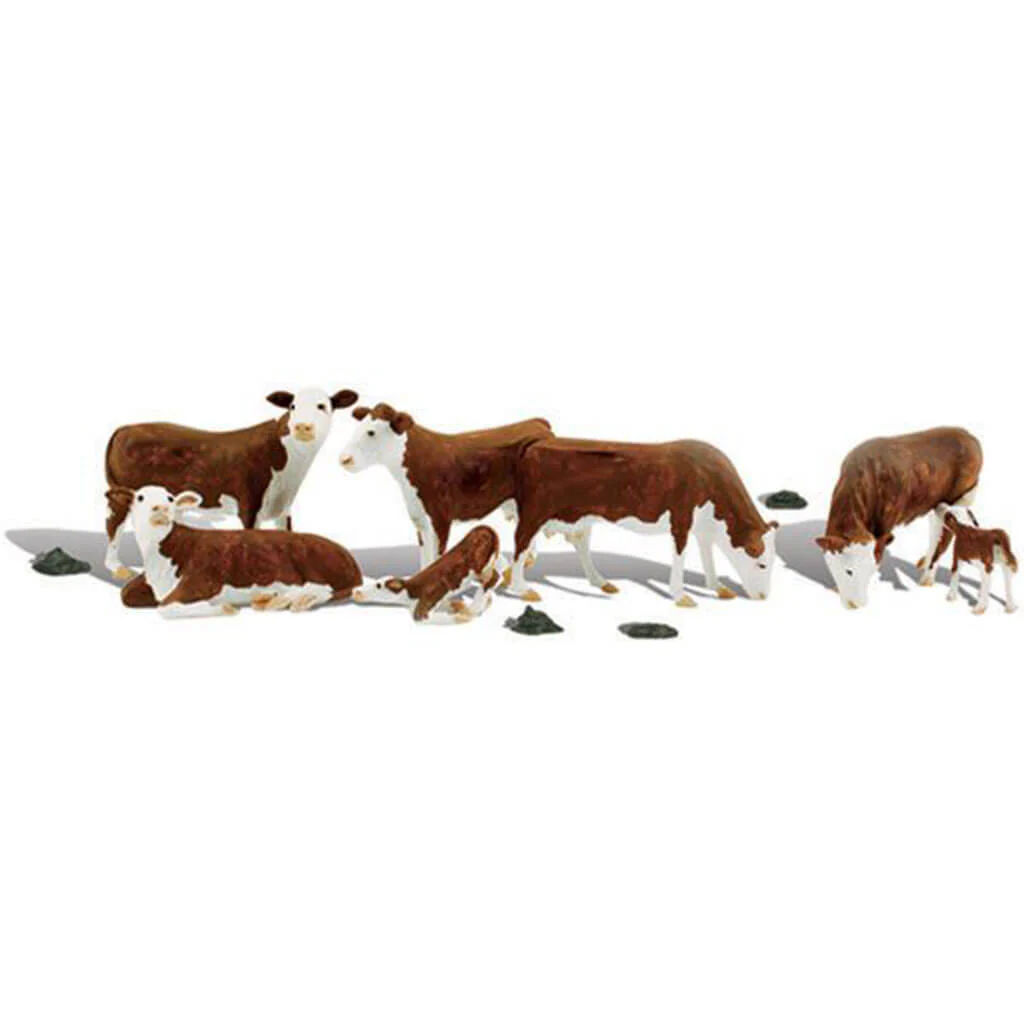 Ho Hereford Cows