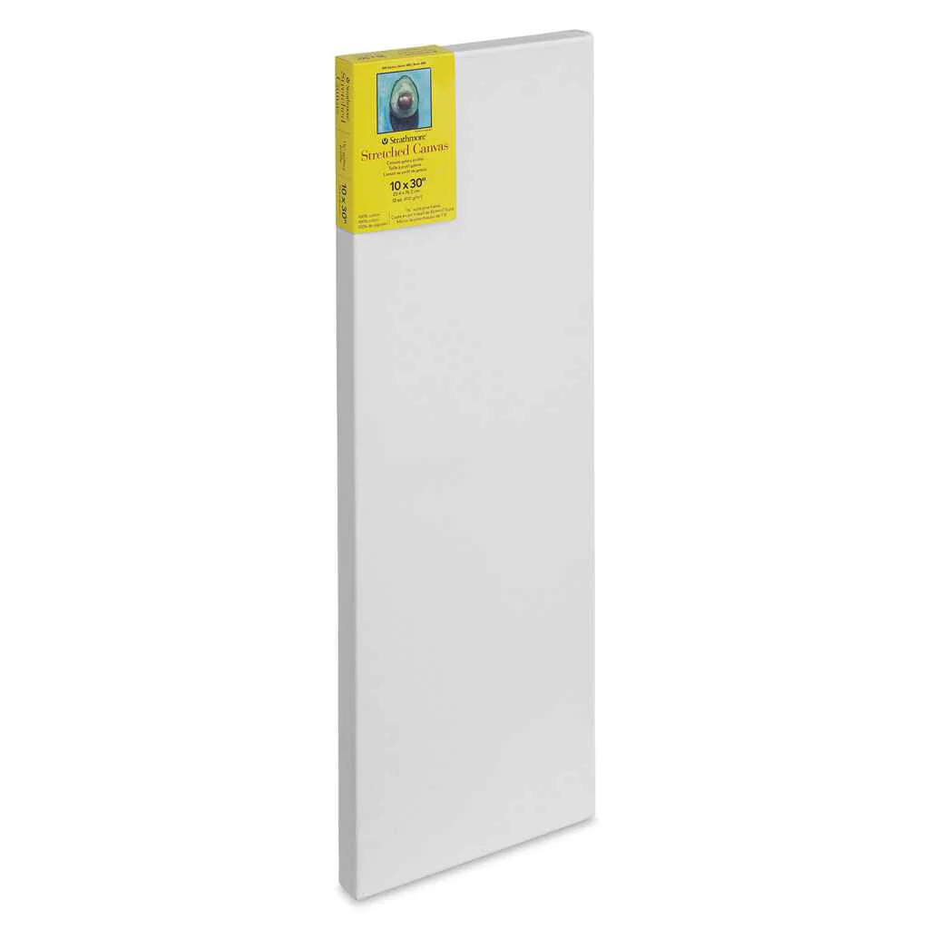 300 Series Gallery Stretch Canvas 10in x 30in