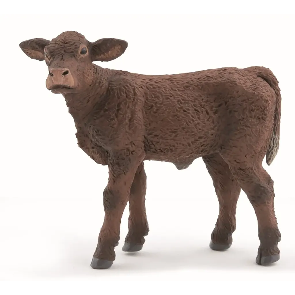 Papo Saler's Calf