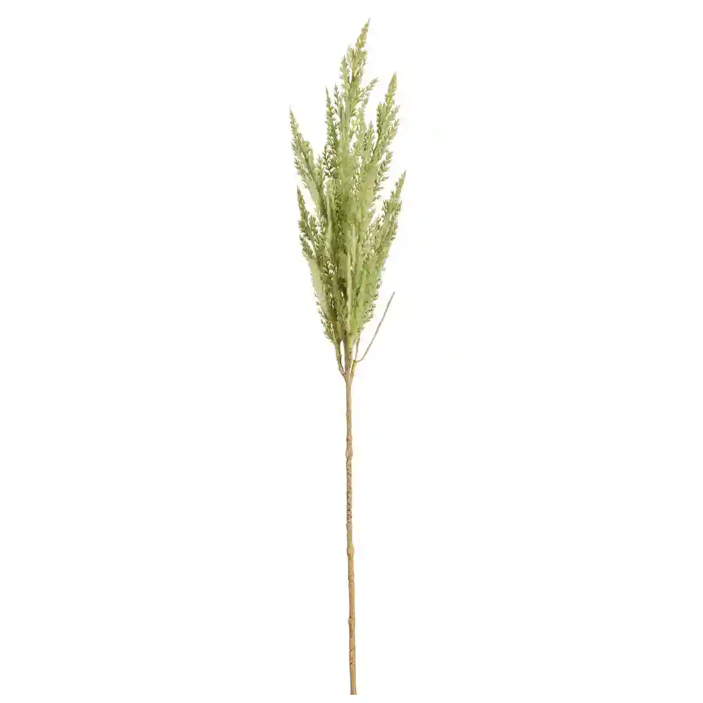 32IN Pampas Grass Spray�Green