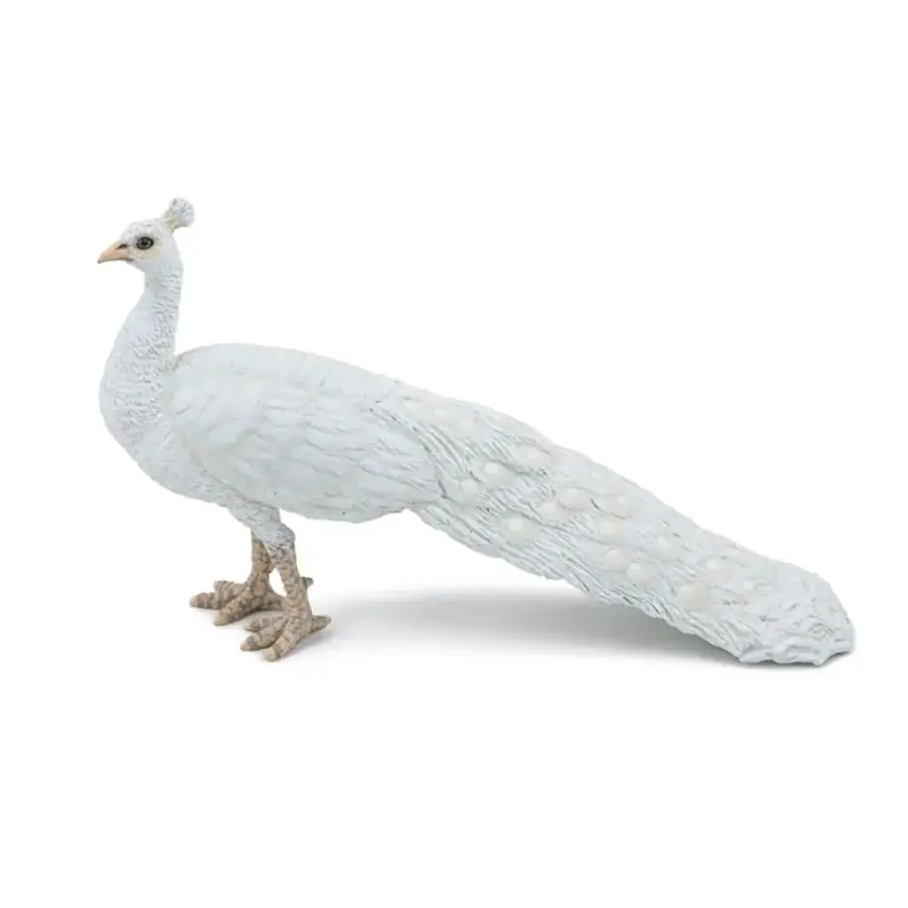 Papo White Peacock