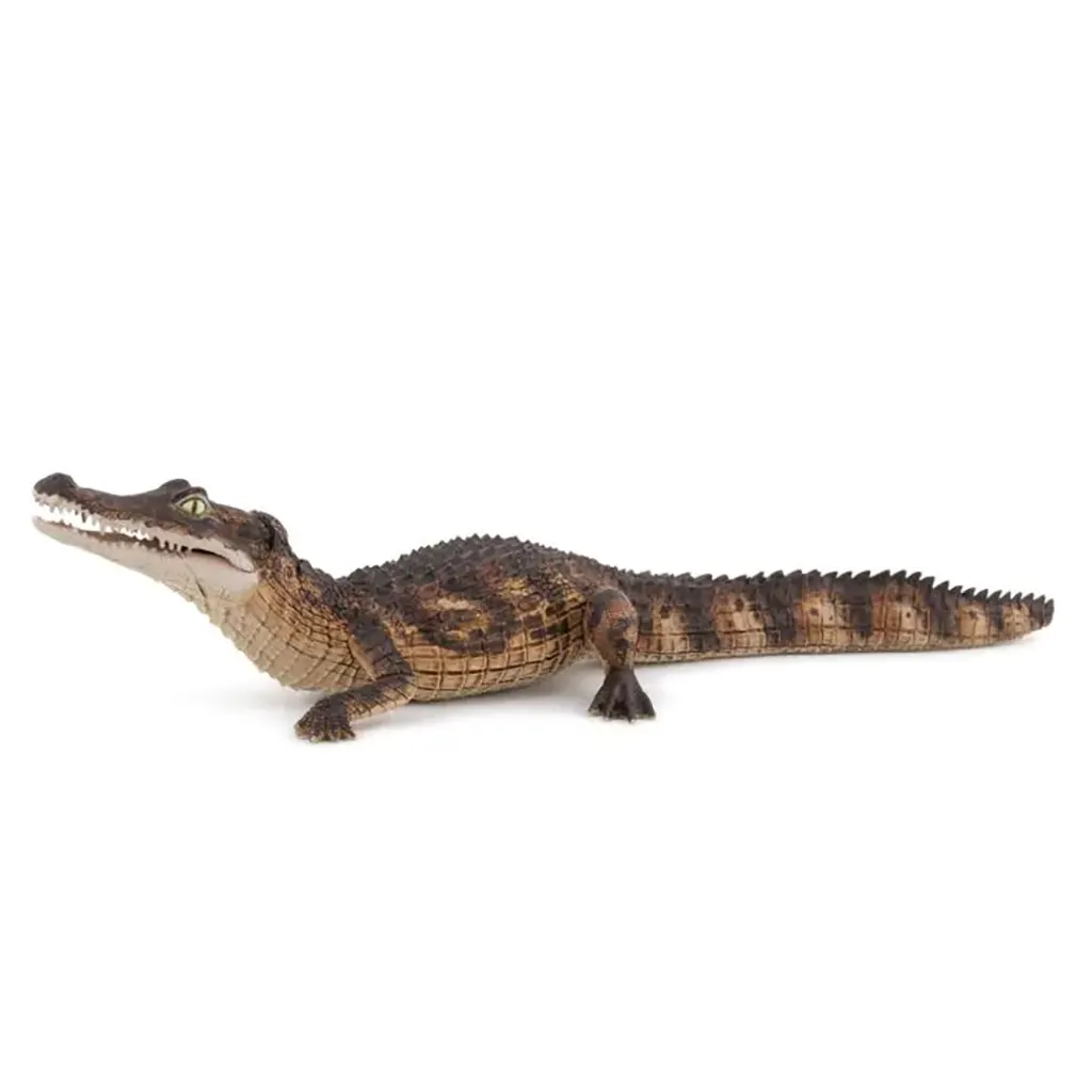 Papo Cayman