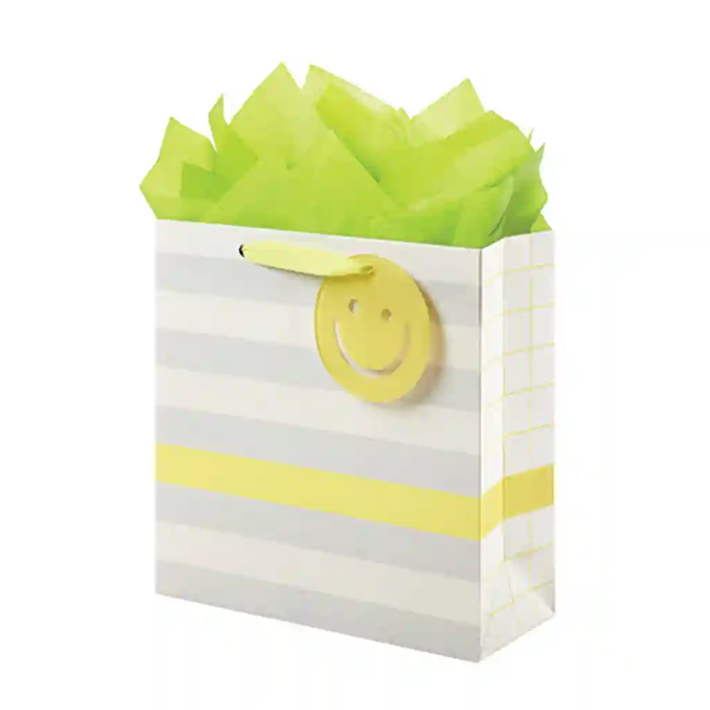Stripe & Checkerboard Medium Square Bag