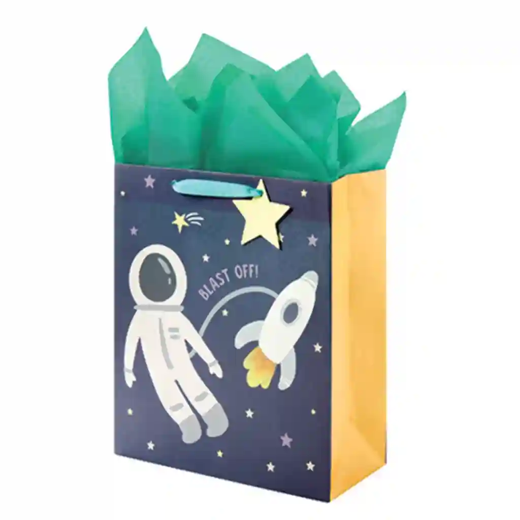 Outer Space Medium Bag