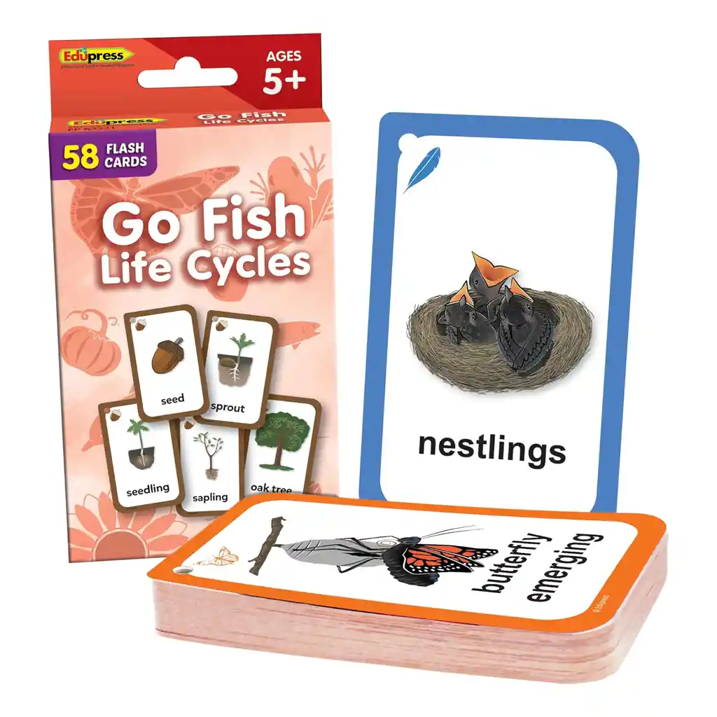 Go Fish: Life Cycles Flash Cards