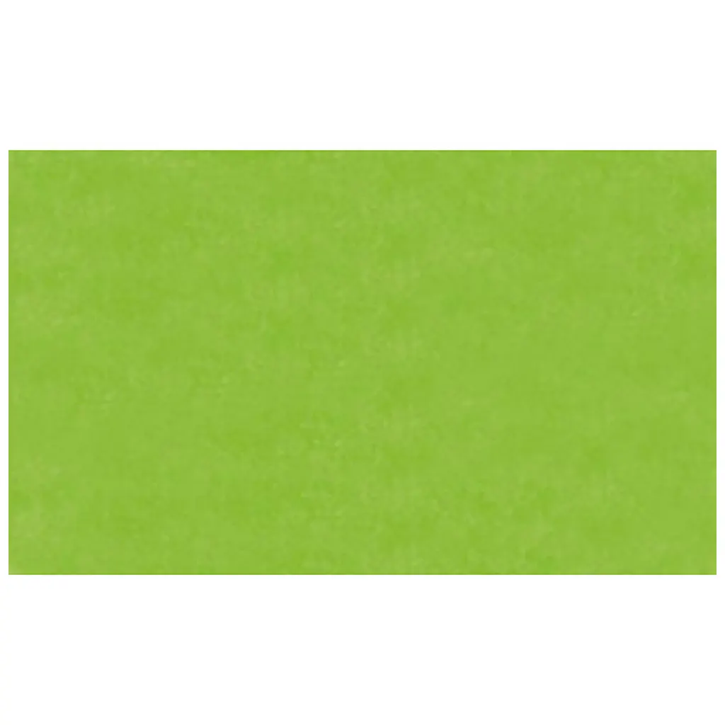 Silk Paper 20G/M2 50x70cm 6 Sheets Roll, Light Green