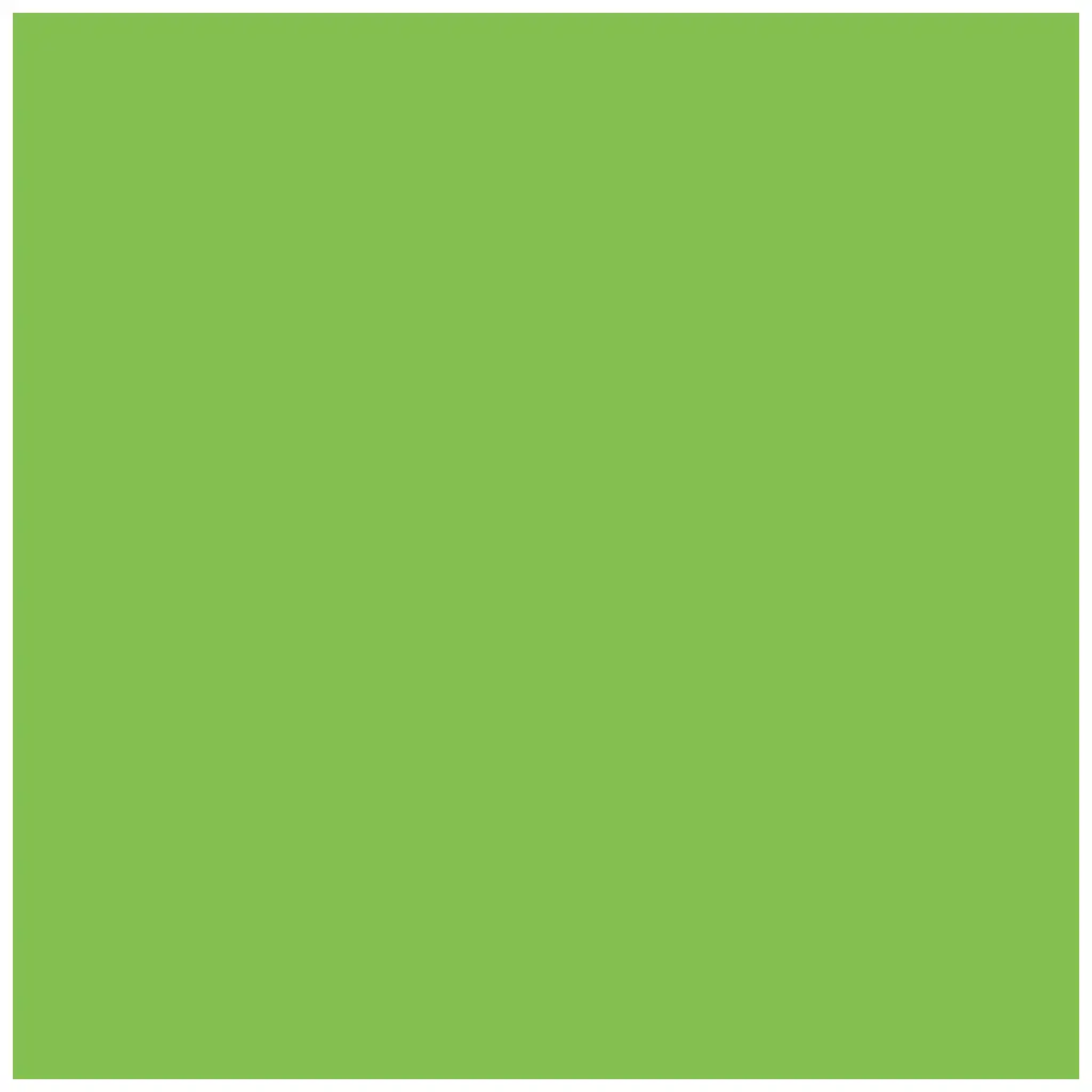 Photocarton 300g/m2 A4 Light Green