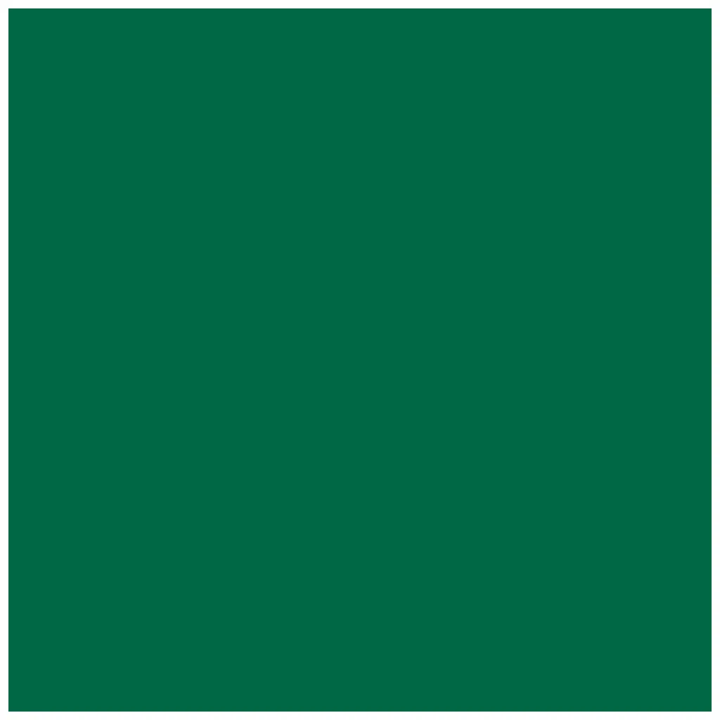 Photocarton 300g/m2 A4 fir Green