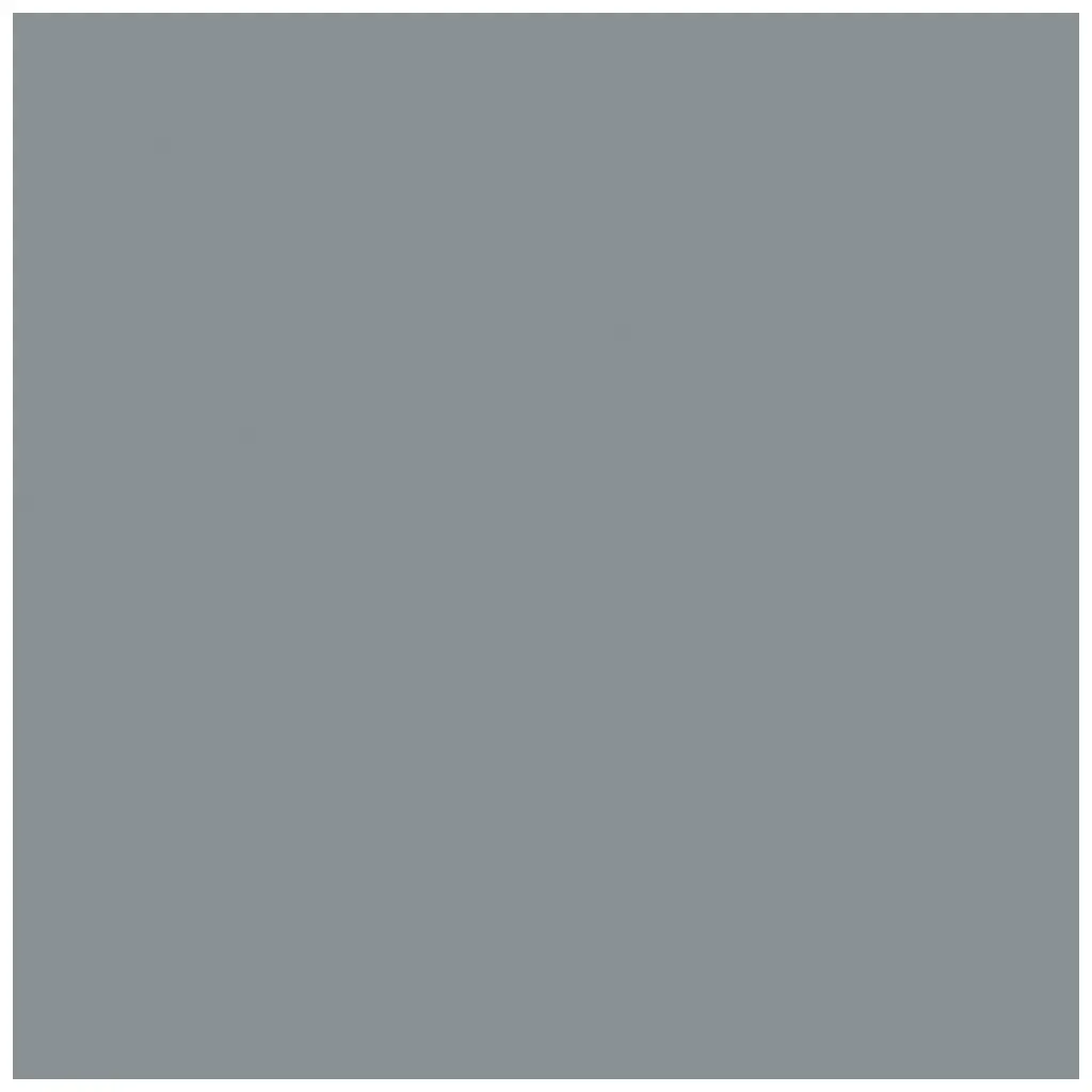 Photocarton 300g/m2 A4 Grey