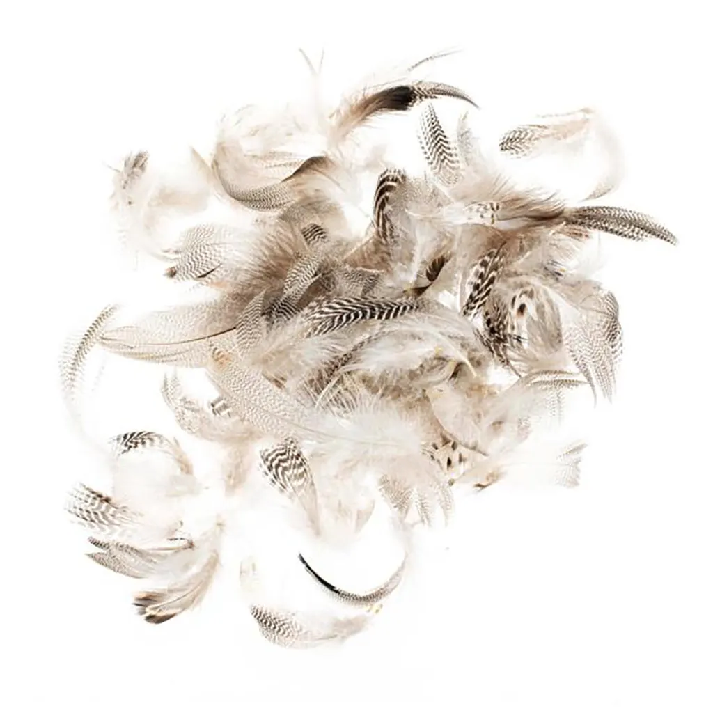 Rooster Feathers 5-12cm 10G