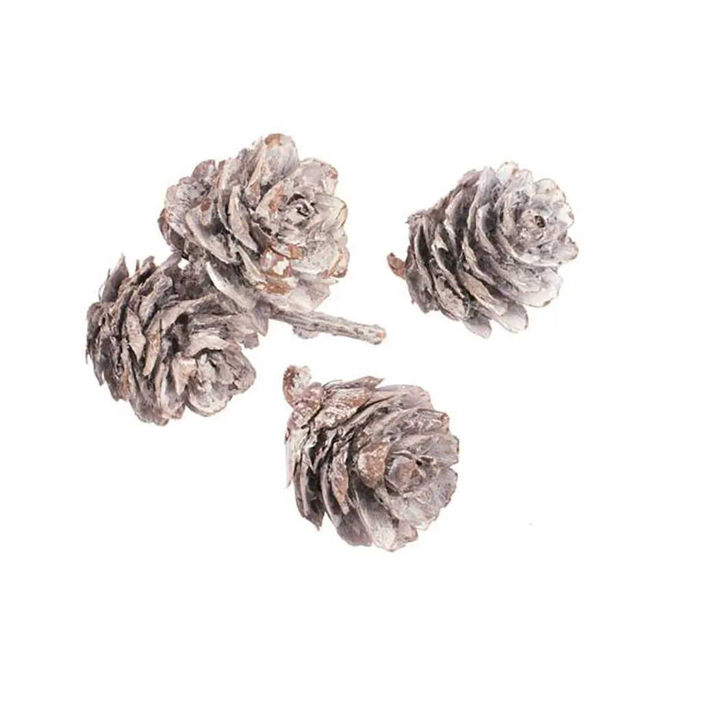 Pine Cones Small 3-4cm 50g