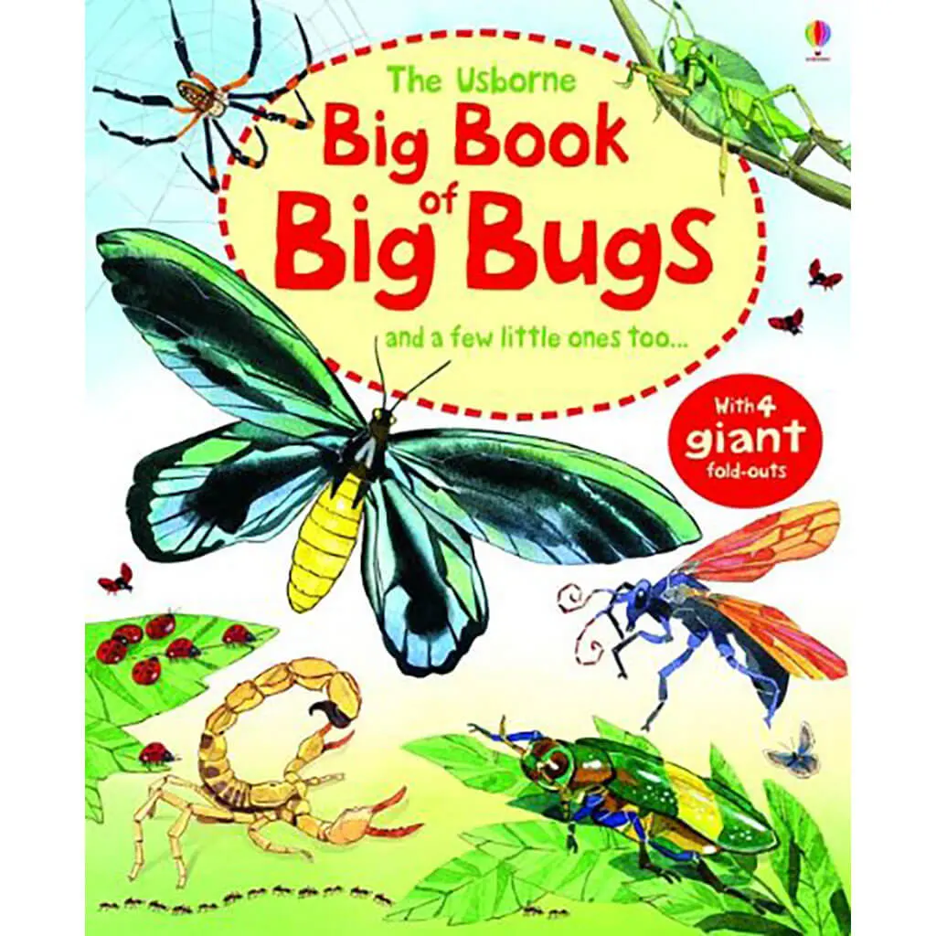 Usborne Big Book Of Big Bugs