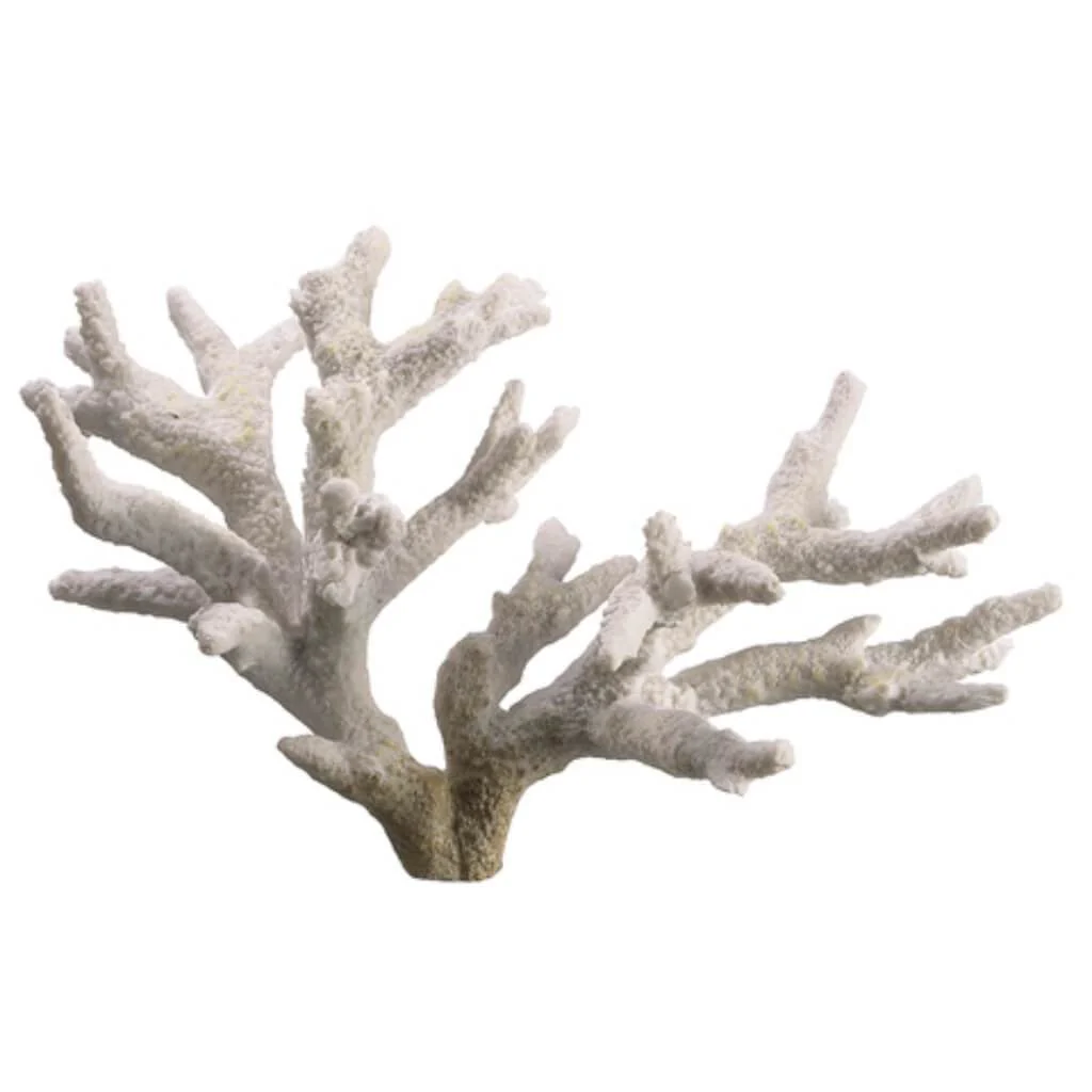 4.5"Hx9"W Coral Na