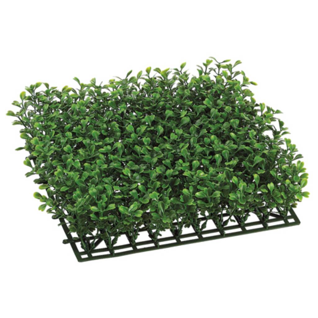 3H10W10"L Boxwood Mat X300 Gr