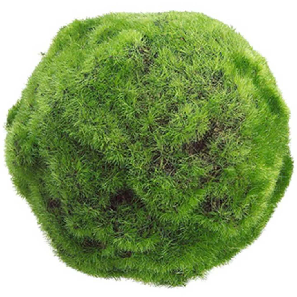 5"Moss Ball Gr
