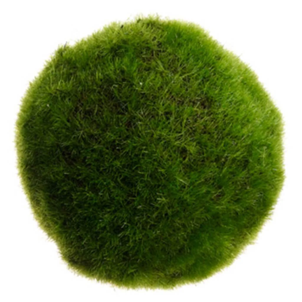 4"Moss Ball Gr