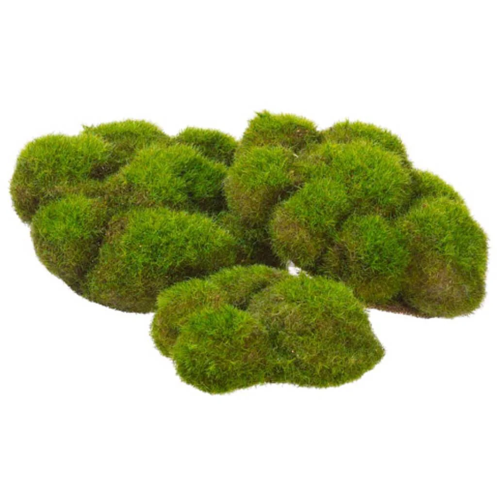 5.9W5.5"L Mood Moss X3(Bag)Gr