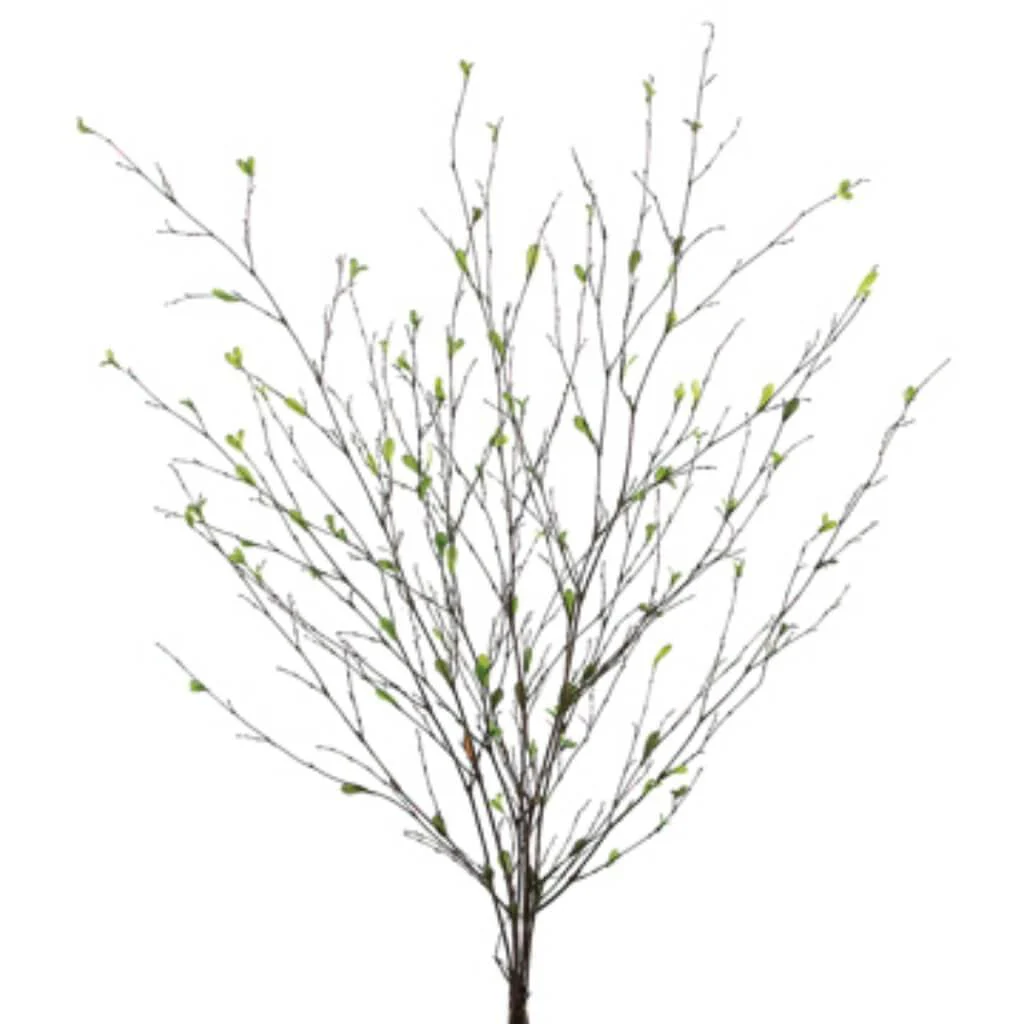 36"Bamboo Branch X6 W/Lvs. Gr