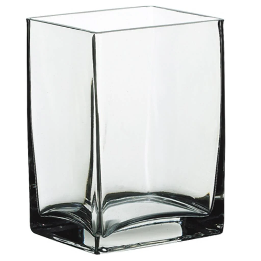 5.5H3W4"L Glass Cube Vase Cw
