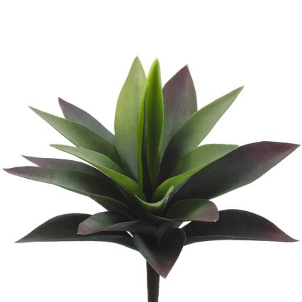 Agave Plant 19 Leaves Green, 11in