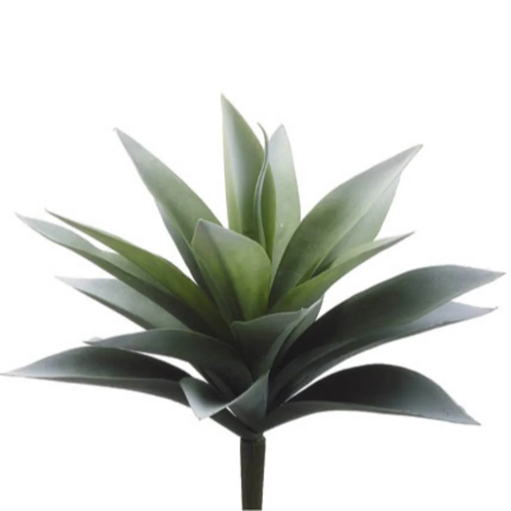 Agave Plant 19 Leaves Green/Fs, 11in