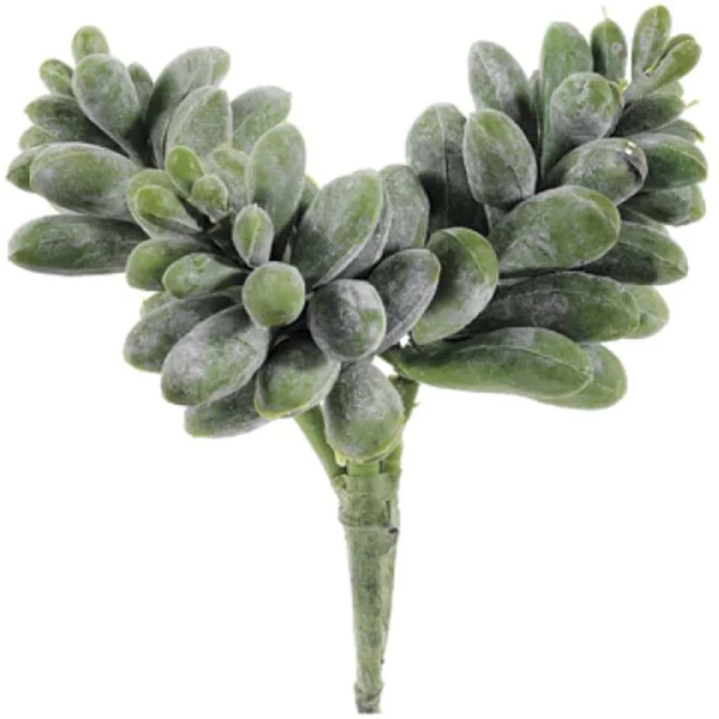 6"Sedum Pick Gr