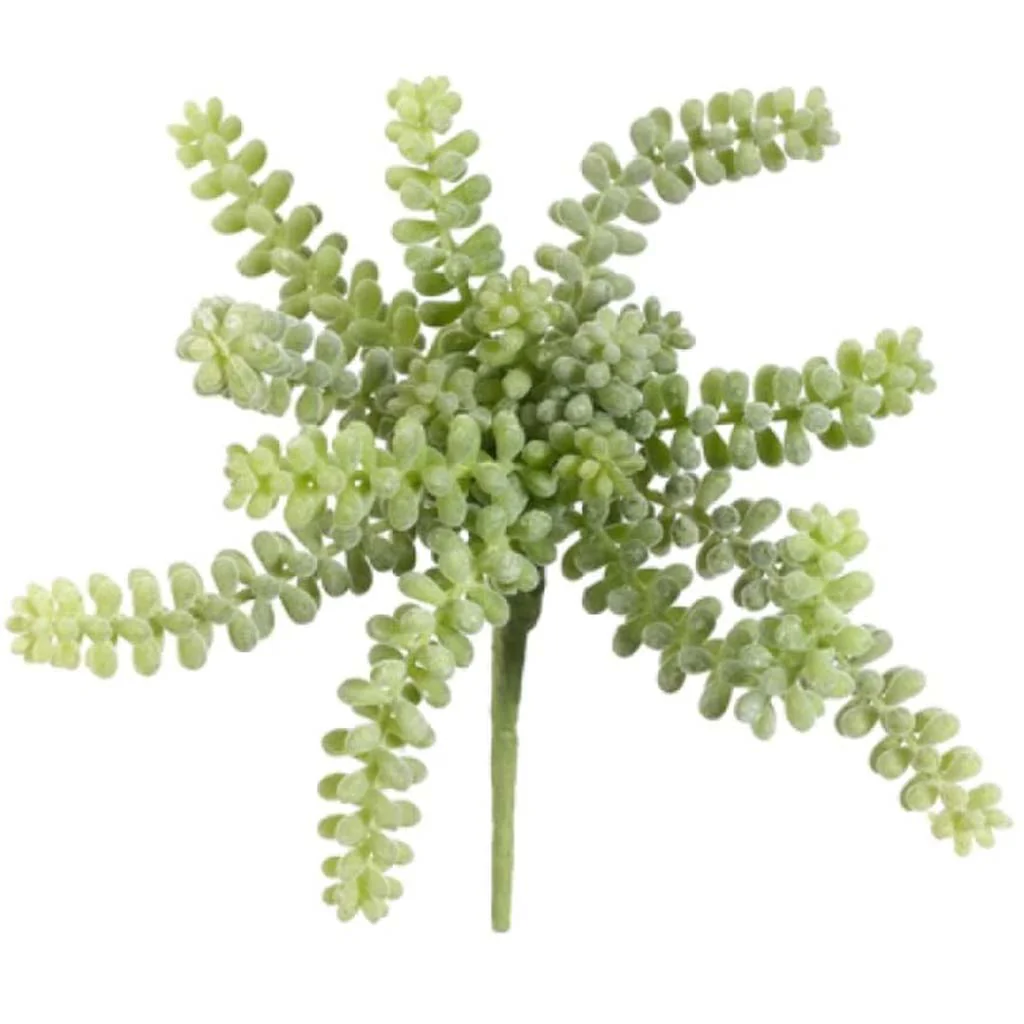 10"Sedum Hanging Pick Gr/Fk