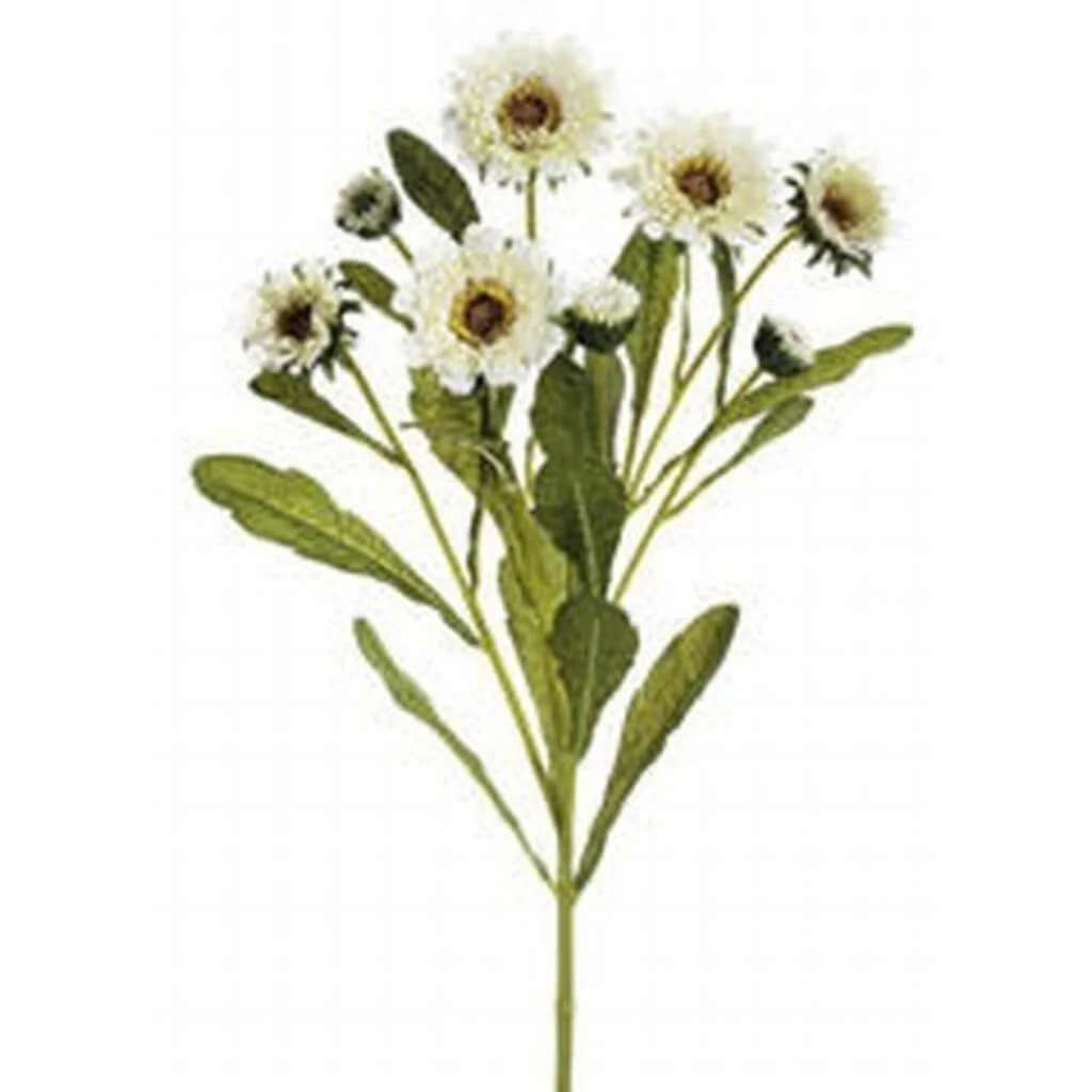 18"Calendula Bush 5F3B Wh