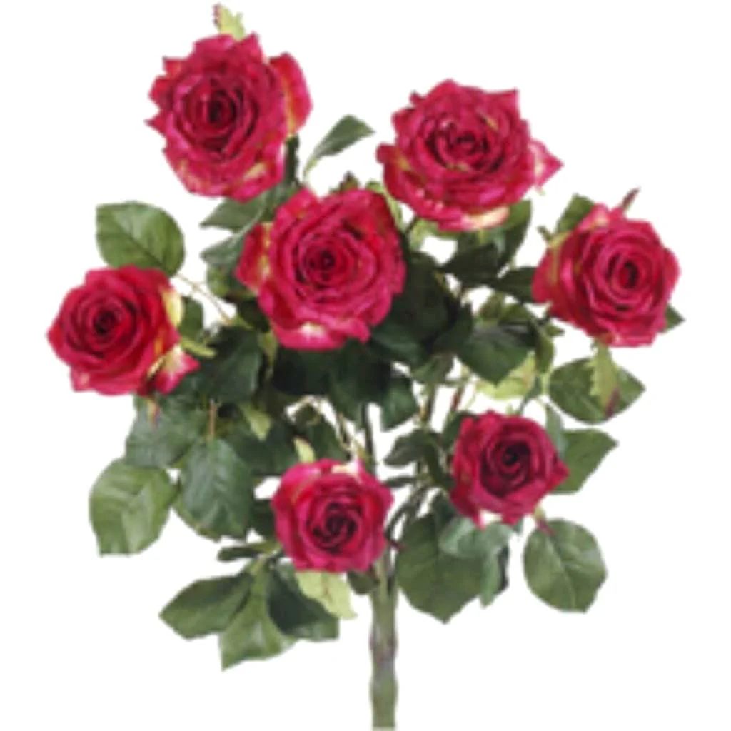 21.5"Conf.Rose Bush X7 Re