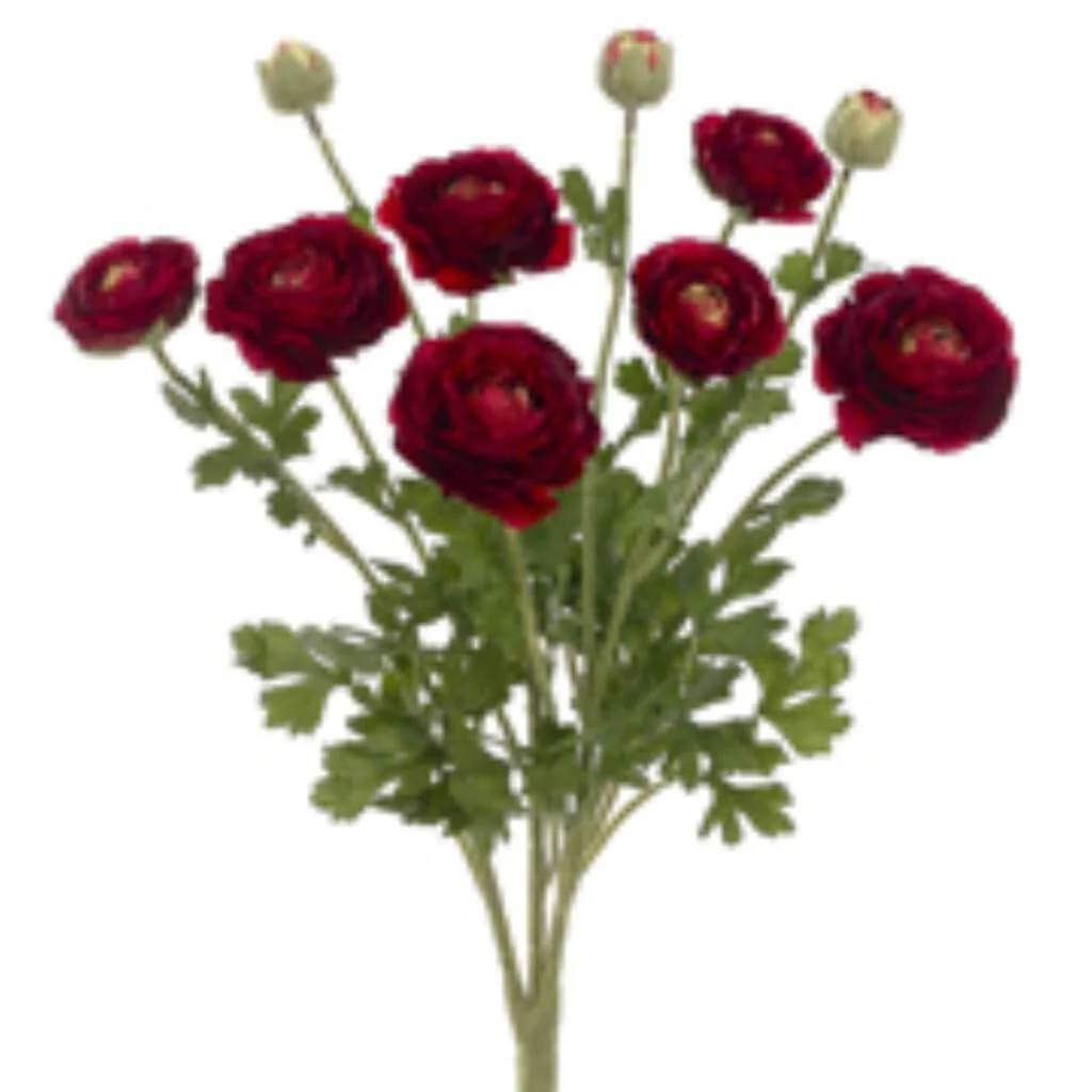 19"Ranunculus Bush 7F3B Bu