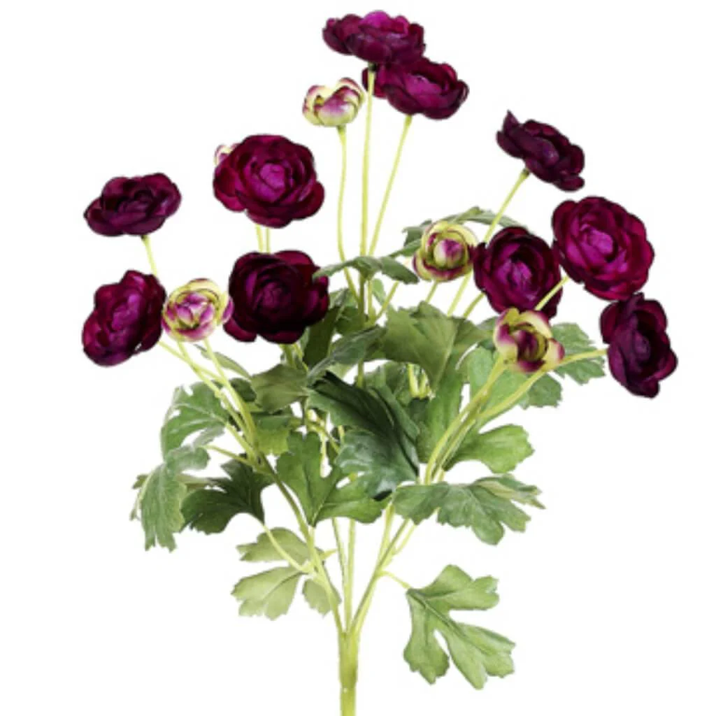 13"Mini Ranunculus Bu.X5 Vi