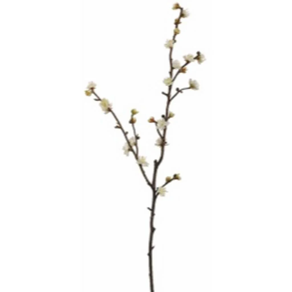 Plum Blossom Spray X2 27" Cream