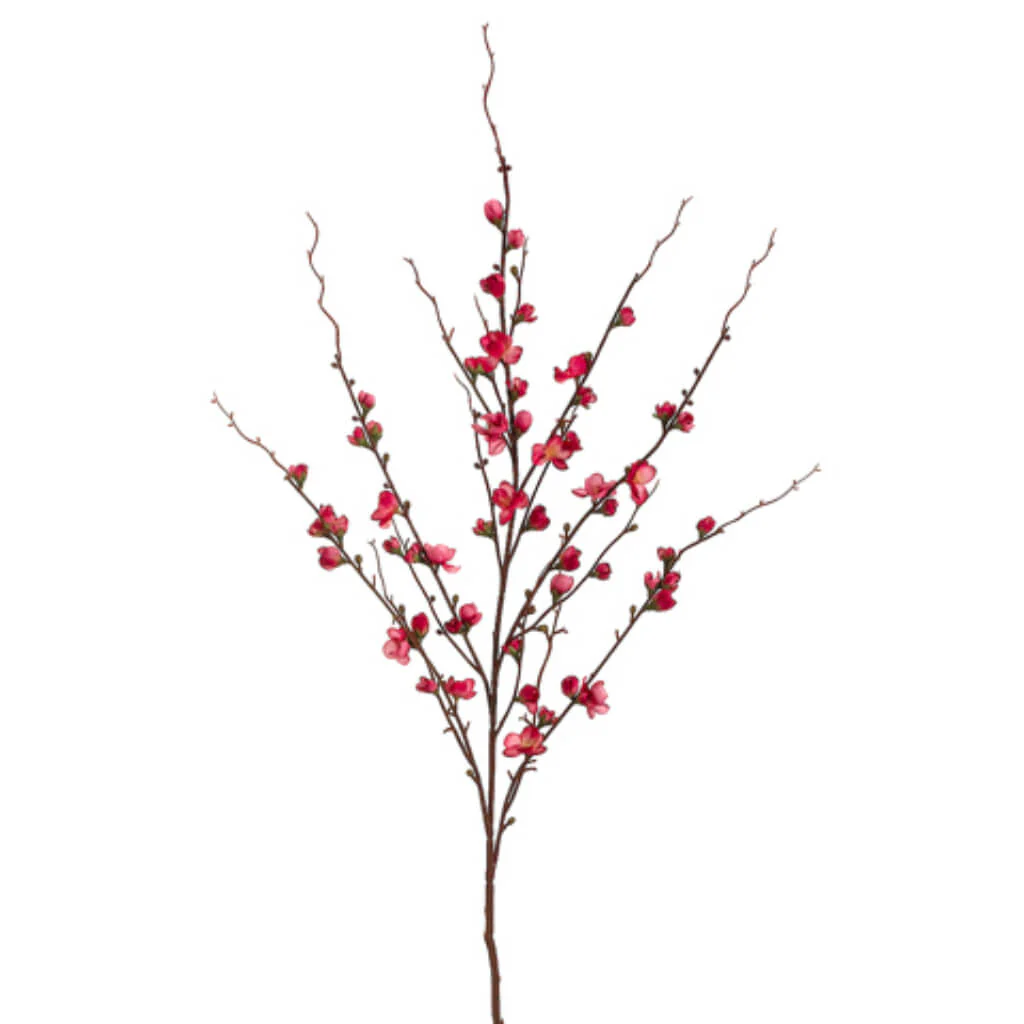 Quince Blossom Spray 45in Cerise