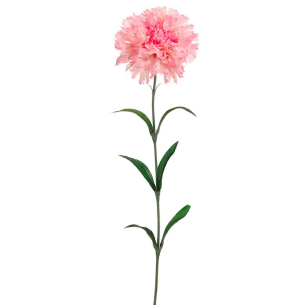 Carnation Spray 25" Pink