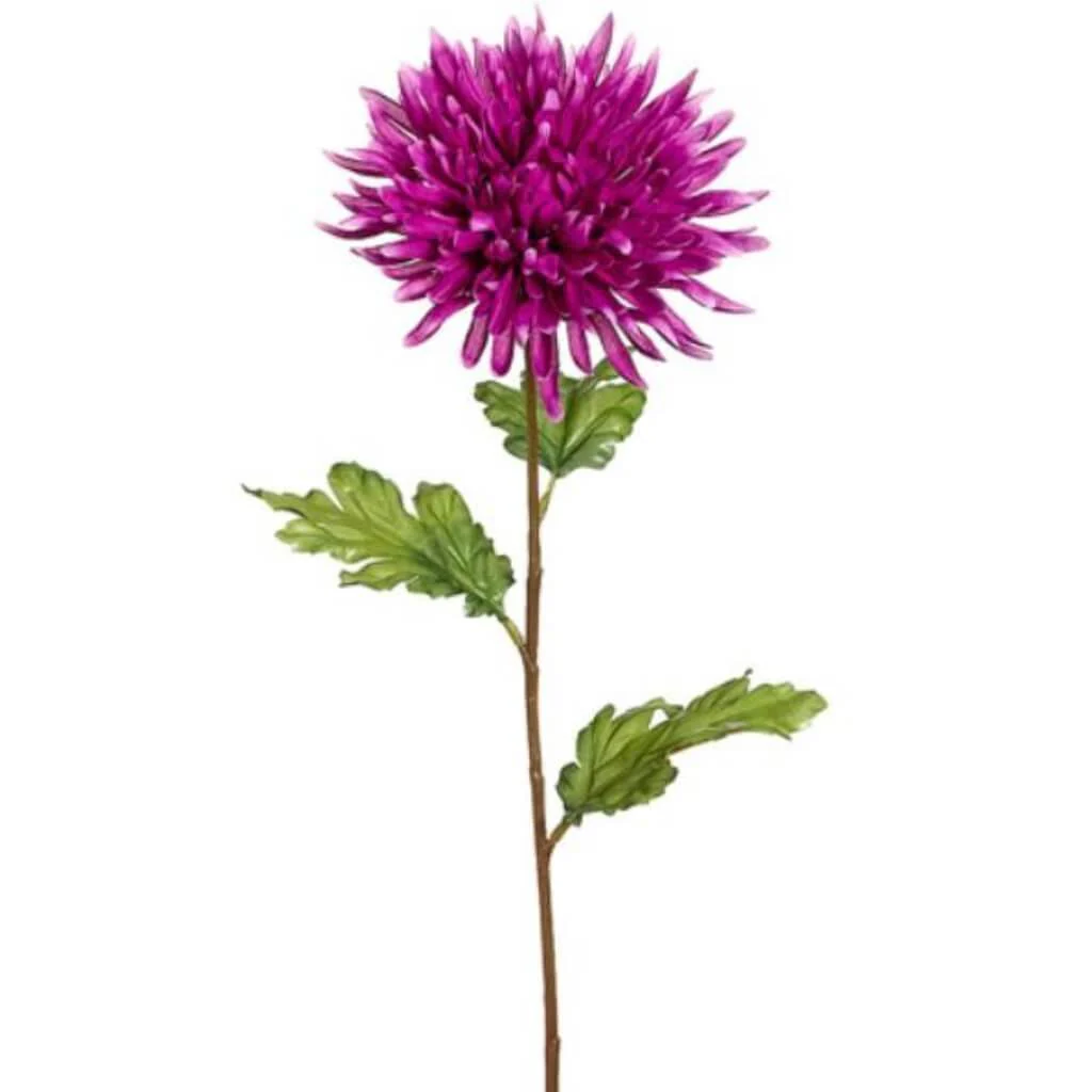 Spider Dahlia Spray 25" Orchid