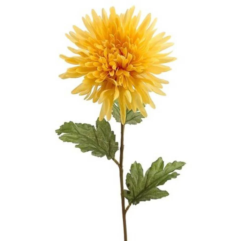 SPIDER DAHLIA SPRAY 25" YELLOW