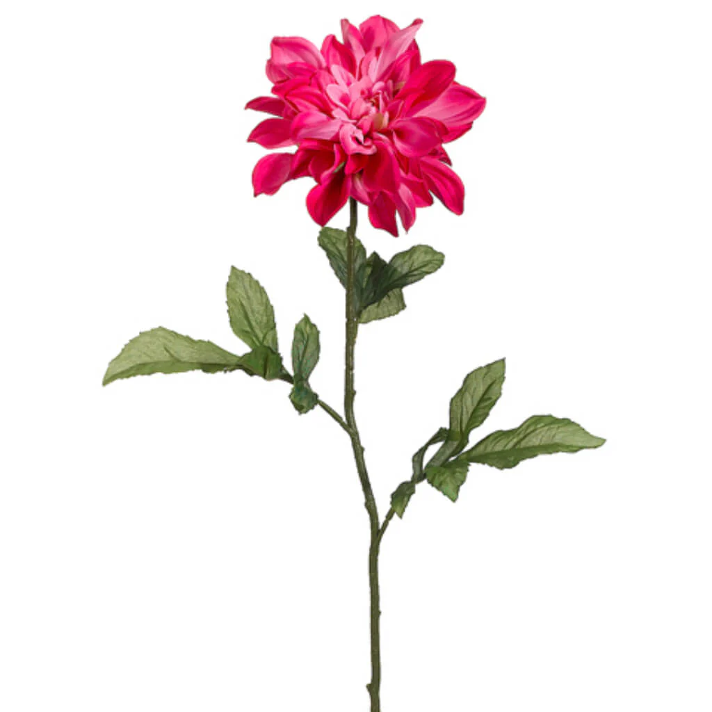 Dahlia Spray 29in Two Tone Cerise