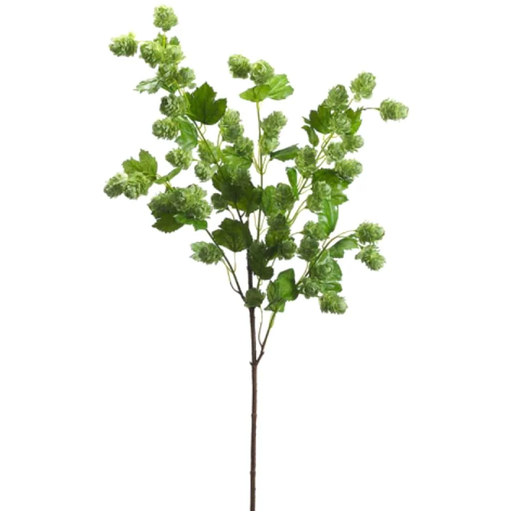 Hops Spray 40" Green