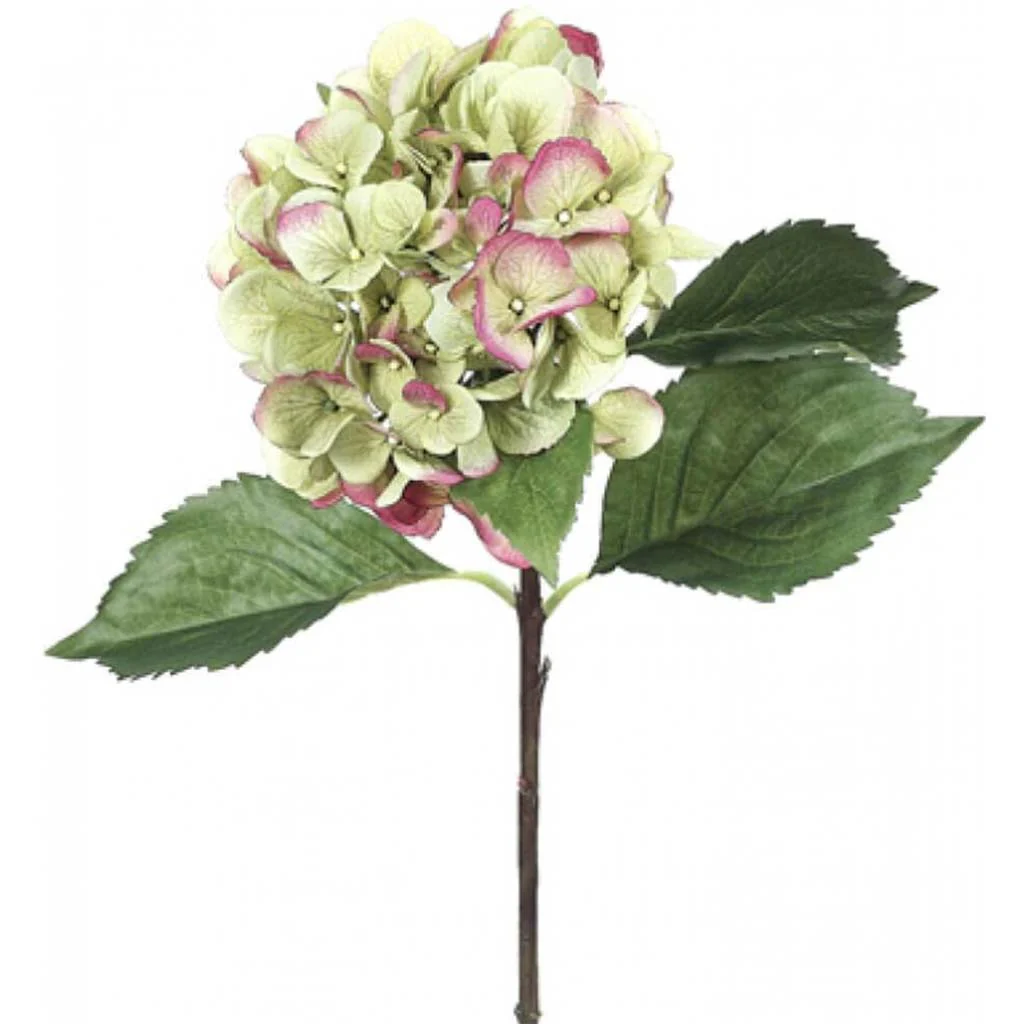 HYDRANGEA SPRAY 27" GREEN BURGUNDY