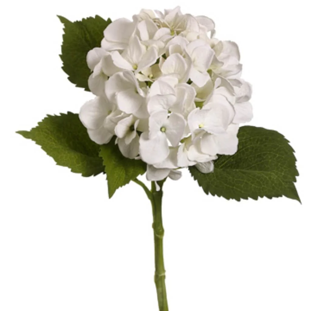Hydrangea Spray 19" White