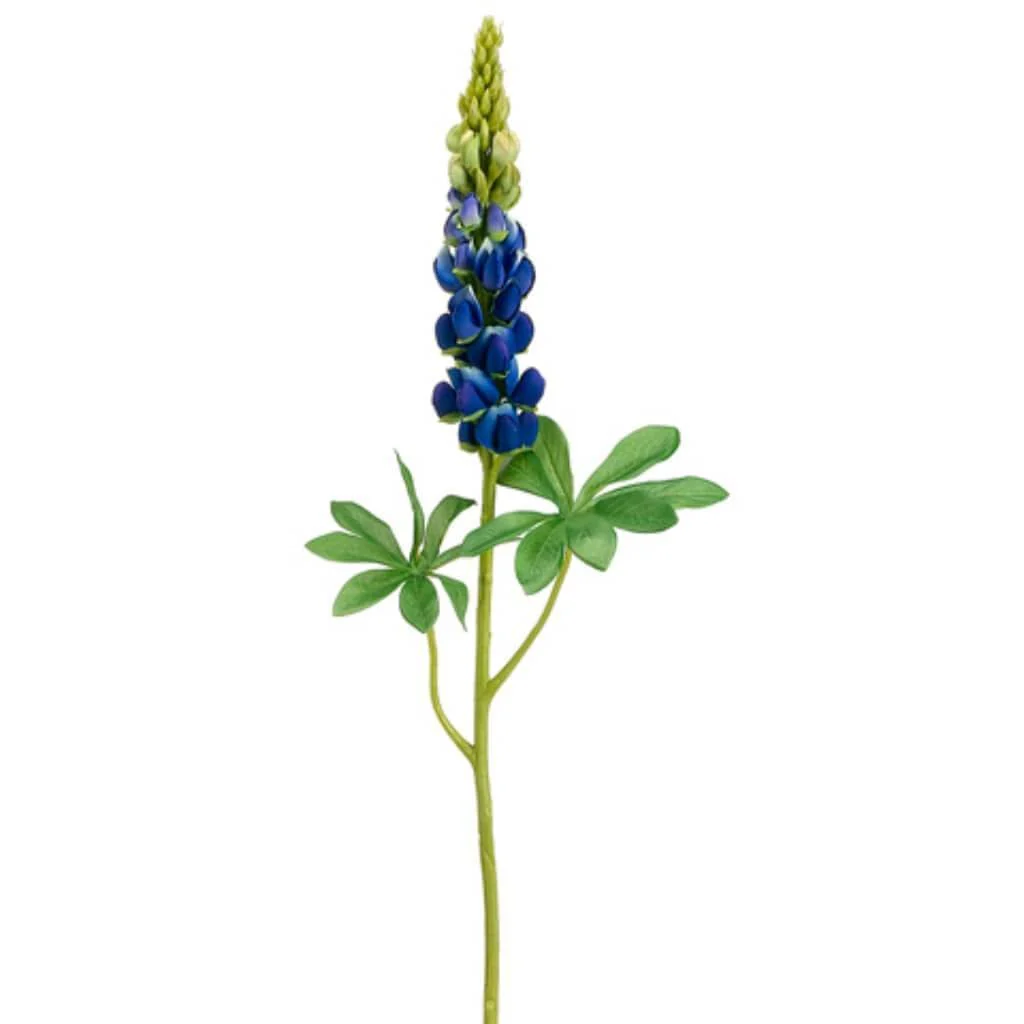 Lupinus Spray 33" Blue Green