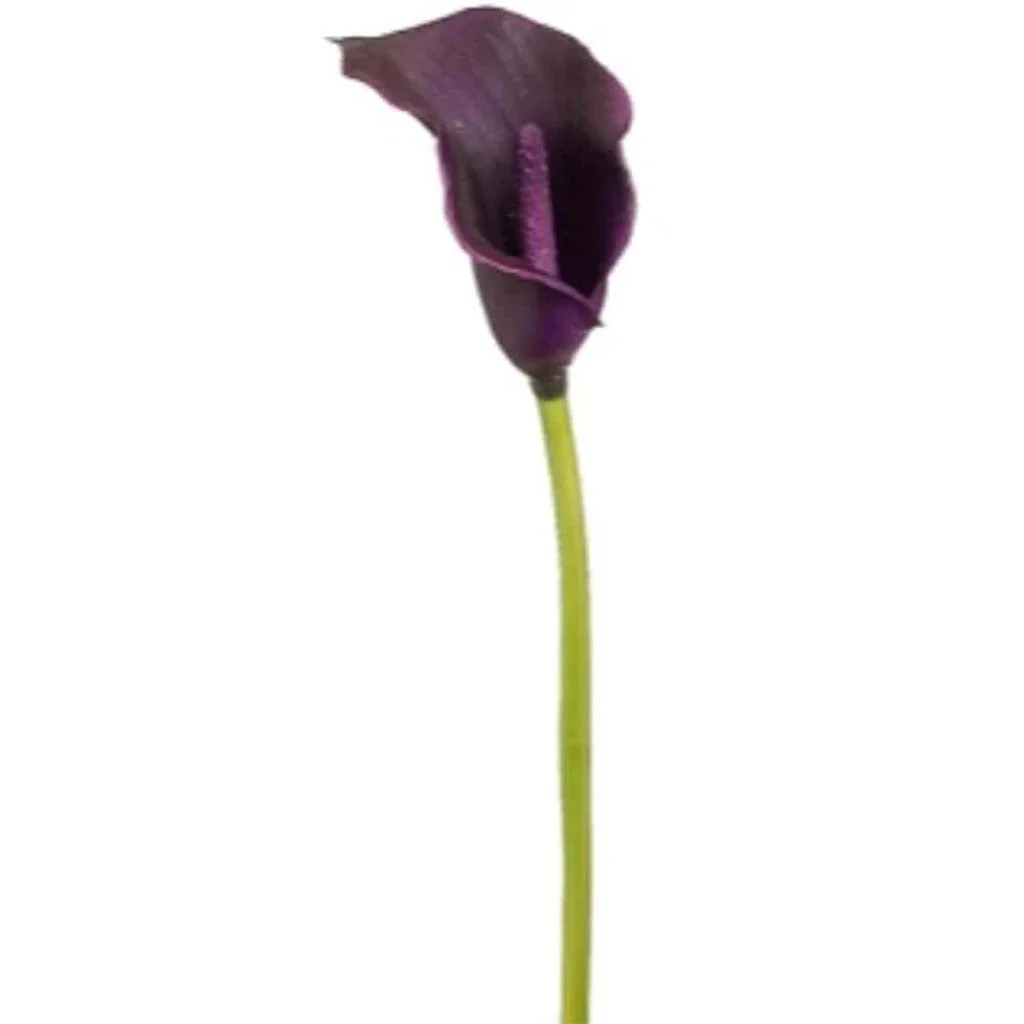 Small Calla Lily Spray 20" Eggplant