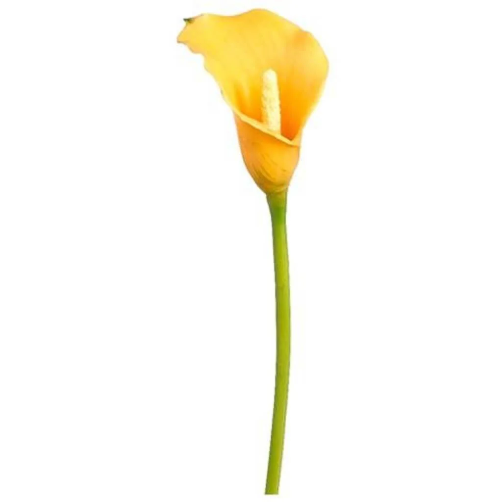 Small Calla Lily Spray 20" Two Tone Yellow