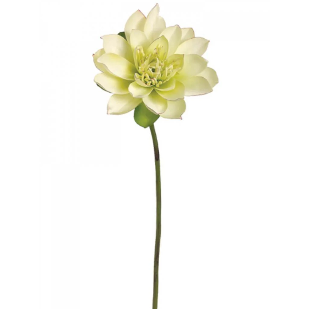 Lotus Bloom Spray 27" Green