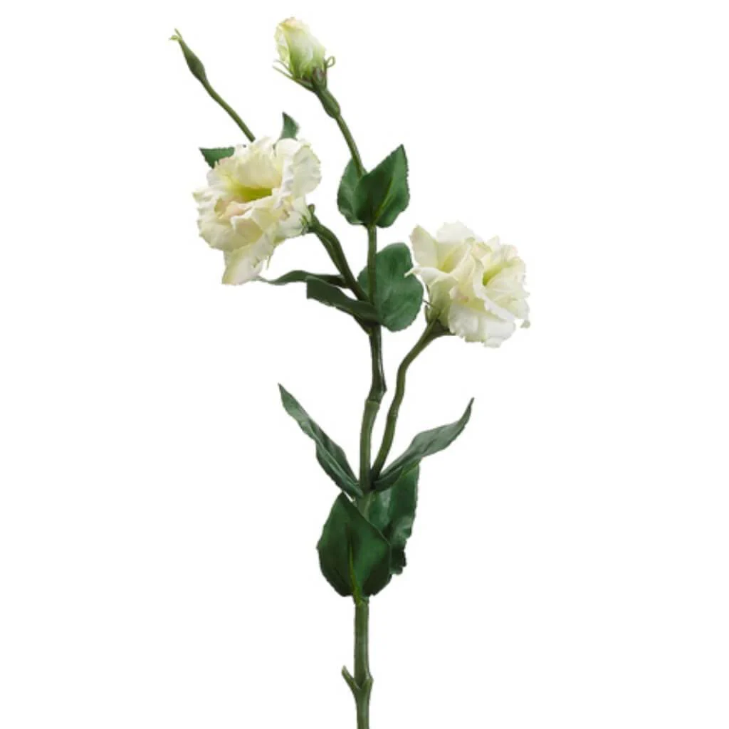 25"Lisianthus Spray Green