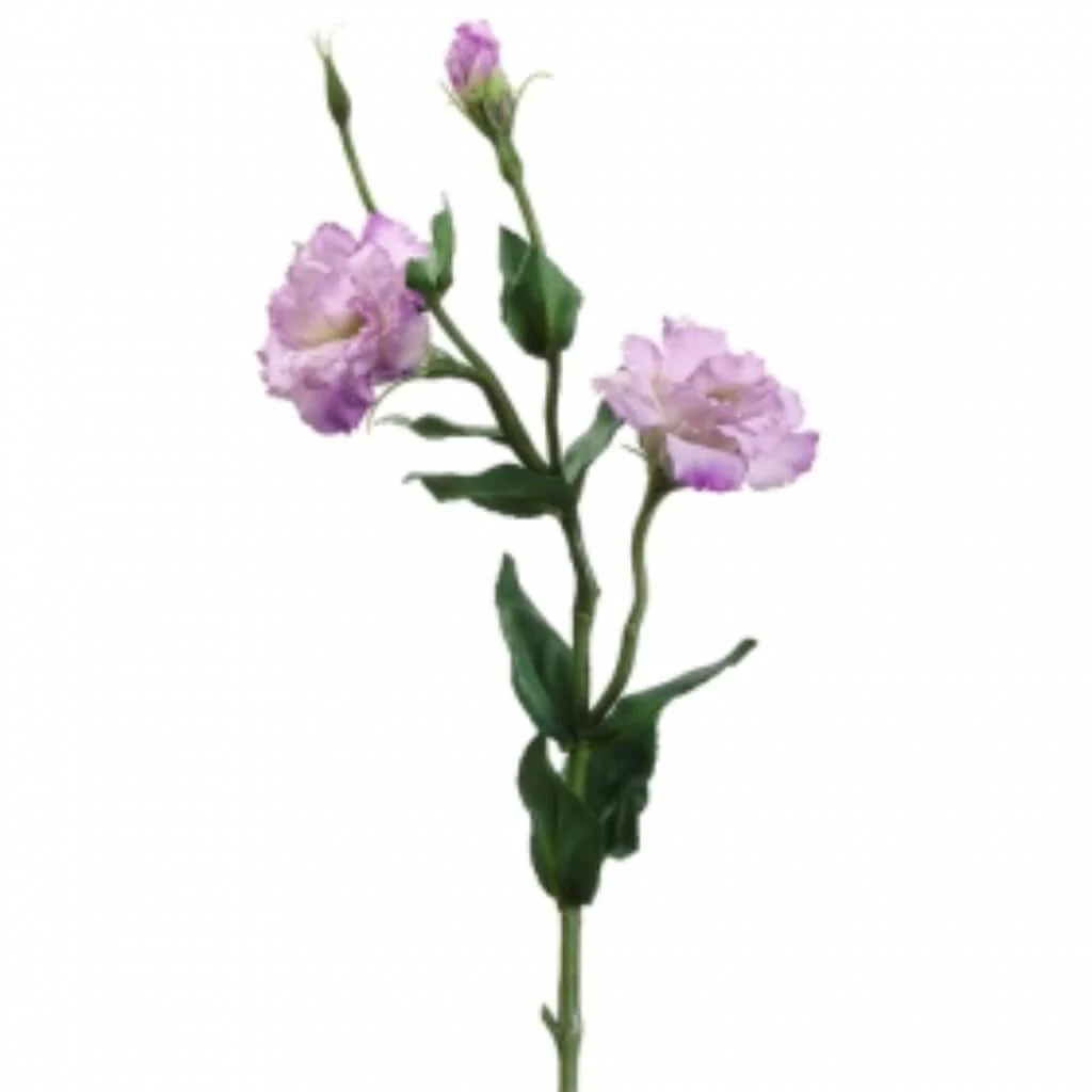 25"Lisianthus Spray Ll/Tt