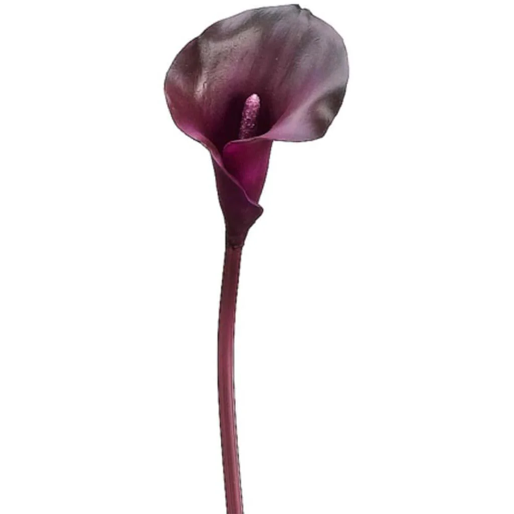21"Pvc Calla Lily Stem Ep