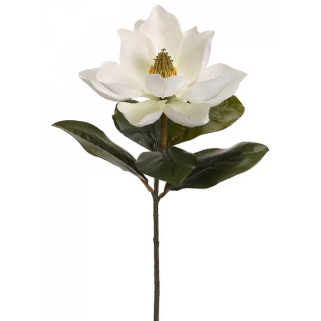 MAGNOLIA SPRAY 24" CREAM