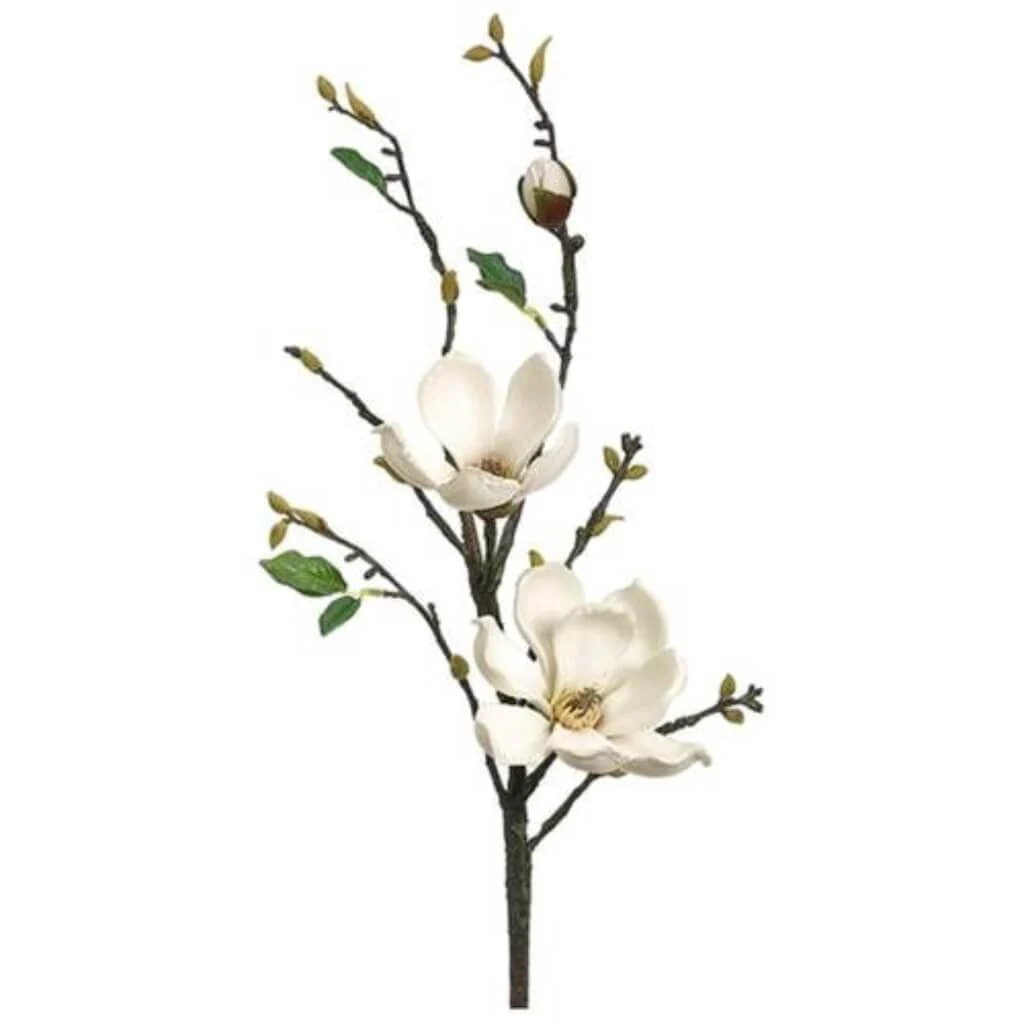 Magnolia Spray 36" Cream